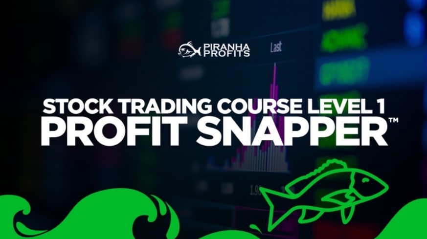 Adam Khoo – Stock Trading Course Level 1: Profit Snapper